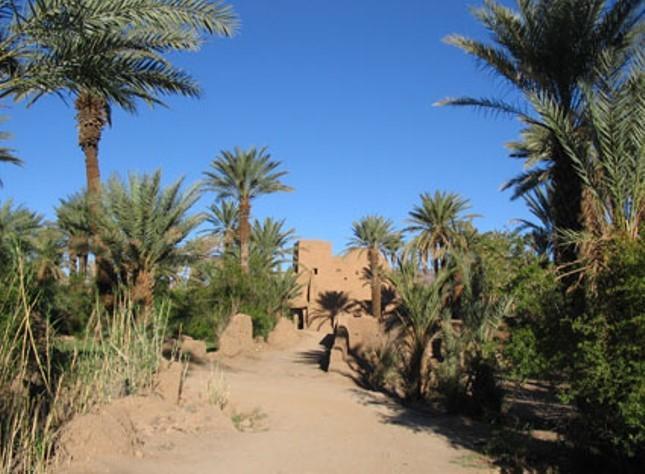 Kasbah Berbere Ouriz Hotel แอกด์ซ ภายนอก รูปภาพ